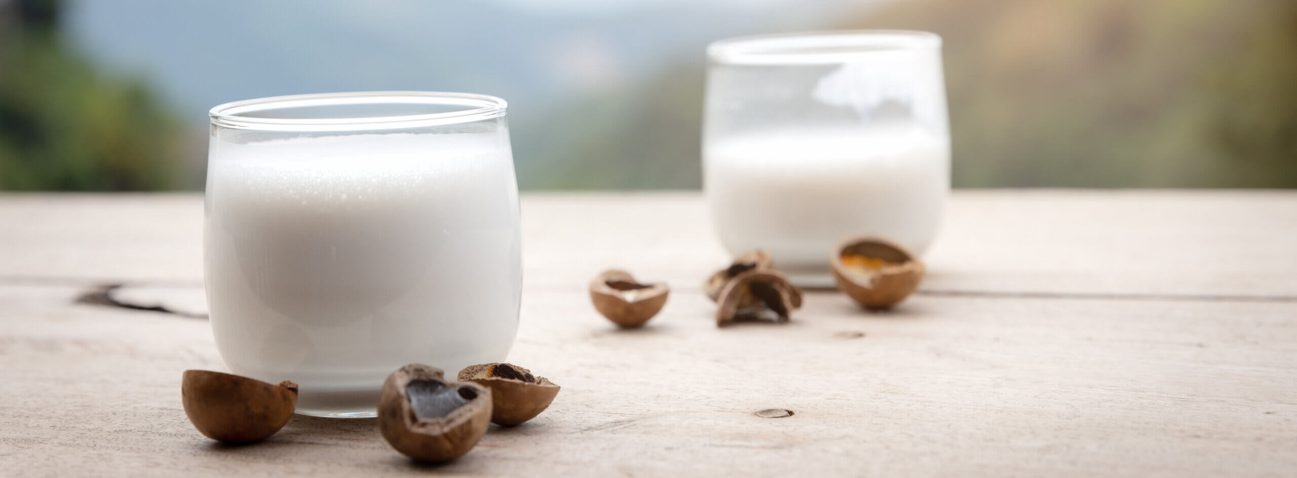 Macadamia Milk