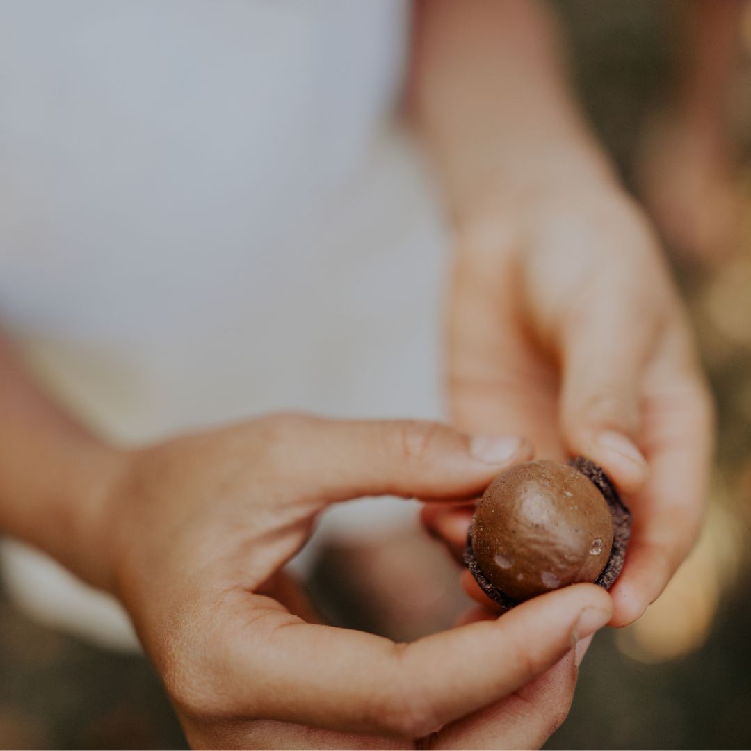 Nut In Shell Bag (1kg)