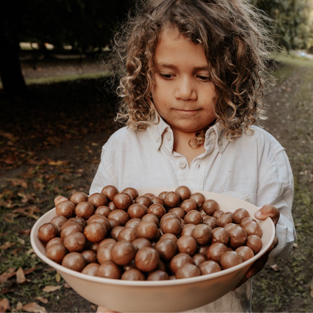Nut In Shell Bag (1kg)