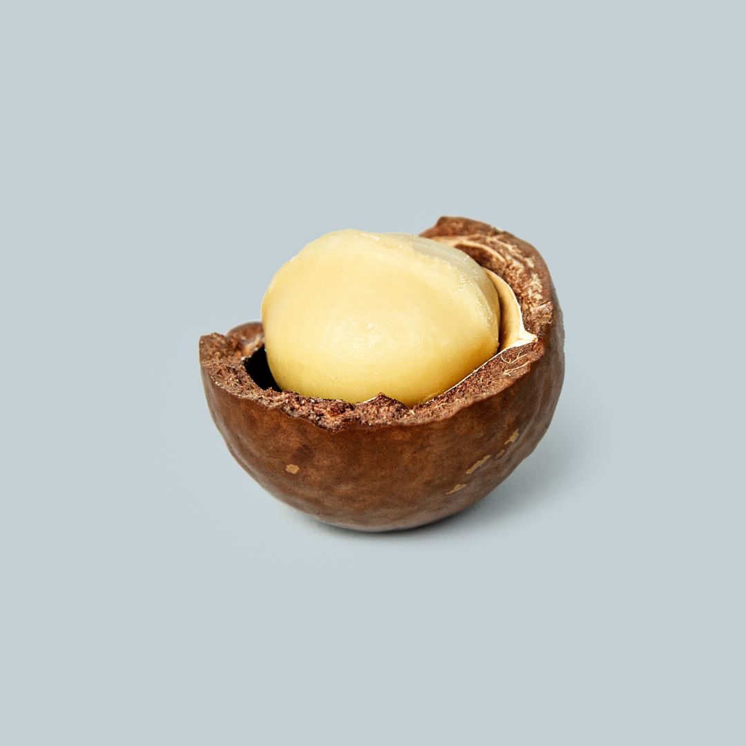 Nut In Shell Bag (1kg)